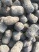 北海明梅陶粒厂家直销北海回填陶粒，北海建筑陶粒，北海绿化陶粒