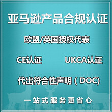 欧盟负责人申报,欧盟/欧洲经济区