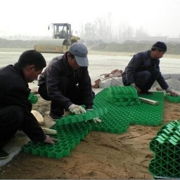 深圳植草格深圳塑料植草格