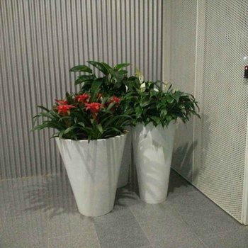 广州市办公室植物出租