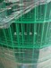 电焊网型号齐全包塑铁丝网批发零售