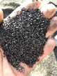 过滤水用过的废活性炭回收/河南厂家收购椰壳废活性炭/价格美丽