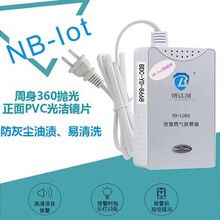 NB智能可燃气体报警器