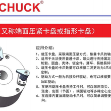 代理BOSSCHUCK旋压卡盘非标定制,原装进口图片
