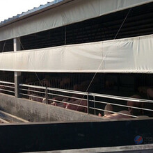 畜牧养殖场保暖猪场卷帘布篷布加厚防水布防寒帆布防风布透明棚布