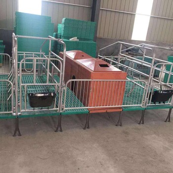 吉林大型养猪场复合母猪产床定位栏保育栏泊头厂家