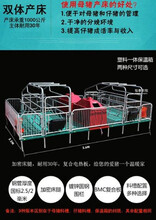 供应湖北襄阳新型养猪设备落地式母猪产床双体复合产床