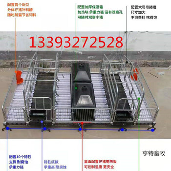供应四川广元大型猪场双体复合产床球磨铸铁产床产保一体两用
