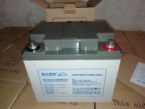 DJM12100S理士蓄电池12V100AH铅酸免维护蓄电池UPS不间断电源图片5