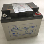 DJM12100S理士蓄电池12V100AH铅酸免维护蓄电池UPS不间断电源图片1