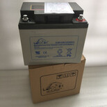 DJM12100S理士蓄电池12V100AH铅酸免维护蓄电池UPS不间断电源图片4