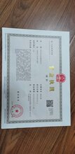专业的抖音MCN带货机构图片