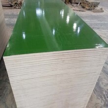 绿色覆面模板中南神箭自产自销高层建筑专用模板厂家批发