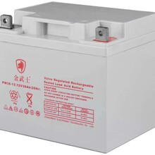 金武士蓄电池PW12-3812V38AH工业照明电器设备铅酸储能电池