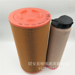 天津制造空气滤芯C20325-5图片5