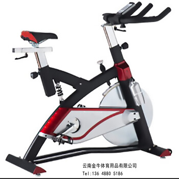 室内健身器材有氧运动家用商用动感单车健身房器材