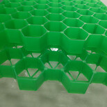 厂家植草格园林绿化环保型塑料植草格图片3
