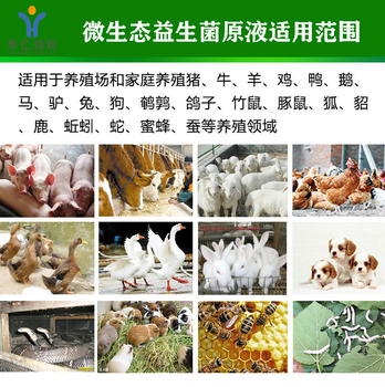 反芻動物微生態(tài)飼料健胃增肥助長防結(jié)石