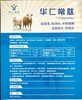 朔州育肥牛羊酵母培养物酵母粉的应用健脾胃助消化促生长吃的多