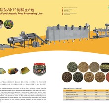 干法宠物饲料水产食品生产线