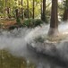园林喷雾设备安装雾森设备