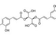 菊苣酸，CAS:6537-80-0，纯度98中药对照品-成都格利普生物