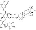 酸棗仁皂苷A，CAS:55466-04-1成都格利普生物科技