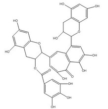 茶黄素-3-没食子酸酯，CAS:30462-34-1，对照品定制图片