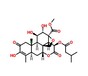 鸦胆子素A，CAS:25514-31-2，鸦胆子苦素A