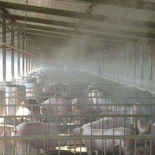 西安正信凯高压喷雾在养殖业的应用说明