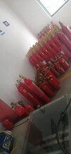 上海二氧化碳火探管自动灭火装置,感温自启动灭火厂家