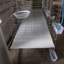 瀚捷出售新疆三層鴿籠大型鴿籠組裝式圖片