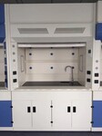 泰州实验台厂家学校物理实验桌定制化验室水槽桌通风柜