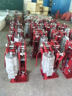 YPZ2系列电力液压盘式制动器制动器厂家图片4