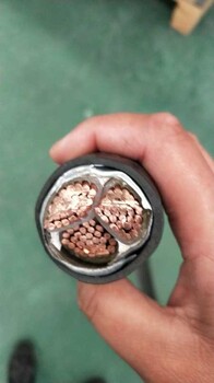衡水饋線回收-衡水帶皮電纜線回收歡迎您
