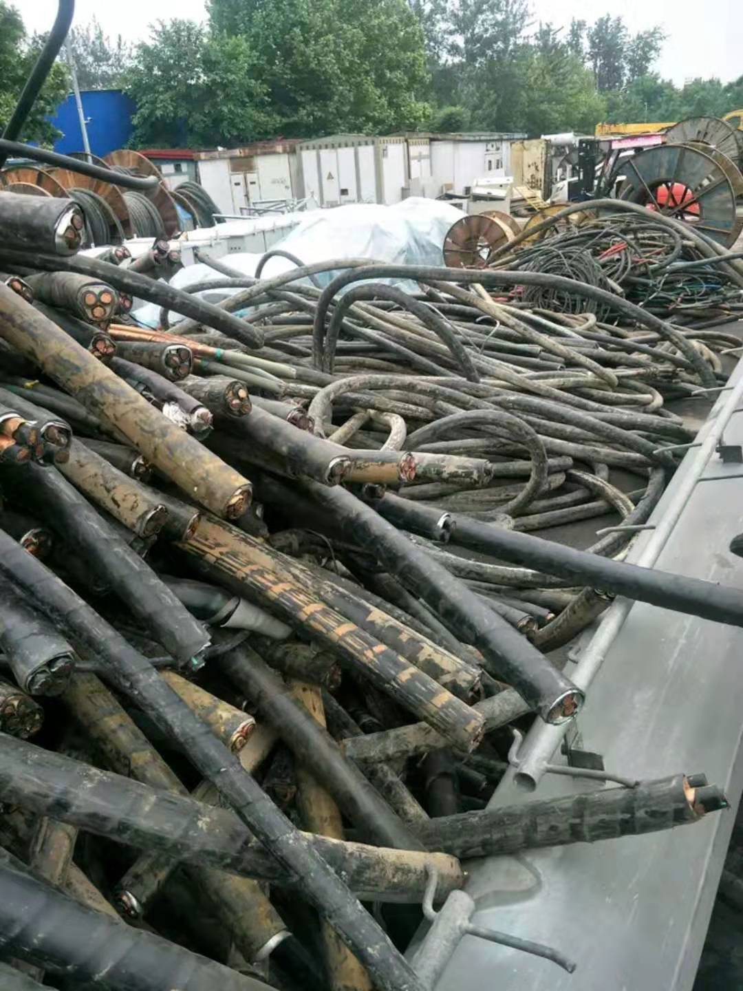 黑河国内废旧电缆回收1-600厂家