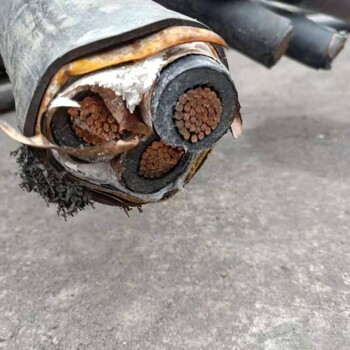 六安回收廢電纜-（六安特種電纜回收）廠家