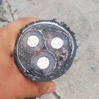 滁州電纜線回收-（滁州銅芯電纜回收）廠家