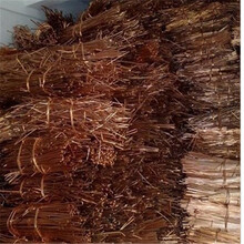 沧州带皮电缆回收（废电缆回收）厂家直接回收价格