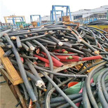 鄢陵本地回收钢芯铝线-高压电缆回收图片1