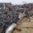 本地废旧电缆回收公司-钢芯铝线电话图片