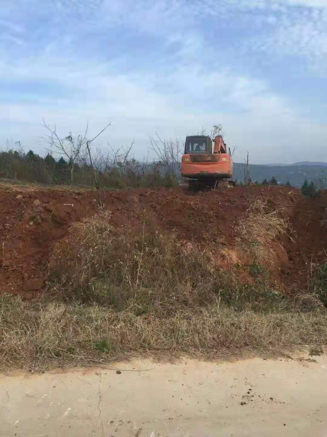 脆紅李樹苗,重慶脆紅李樹苗品種介紹