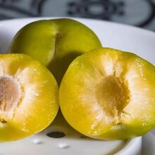 重庆早熟李子苗批发,重庆蜂糖李子苗批发图片