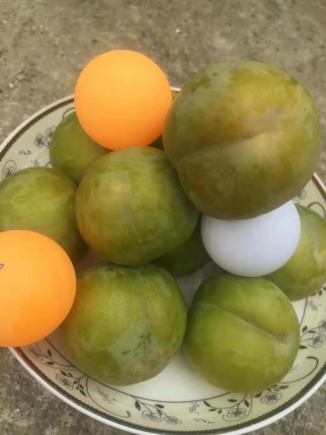 重慶開縣蜂糖李子苗價格,重慶開縣蜂糖李子苗批發(fā)基地