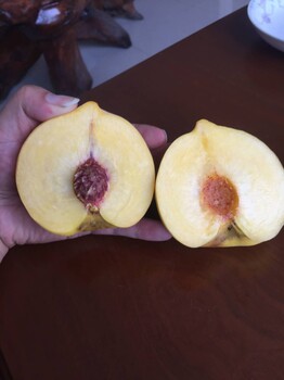 成都桃子树苗种植技术,成都桃子树苗报价