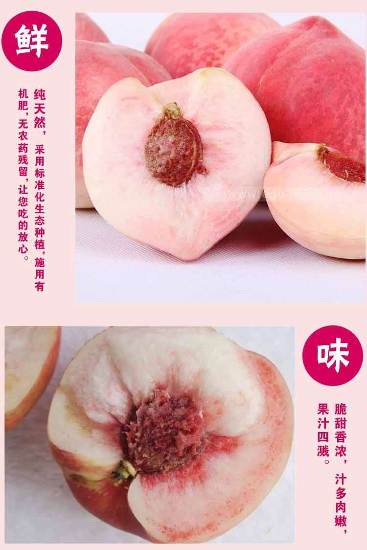重庆巴南桃子苗新品种价格,重庆巴南桃子苗销售