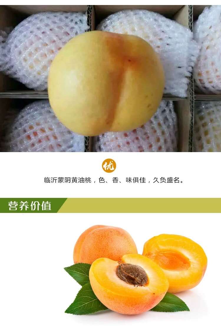 云南桃子苗品种介绍,云南桃子苗销售