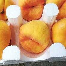 安徽滁州桃苗多少钱一根,安徽滁州桃苗出售图片