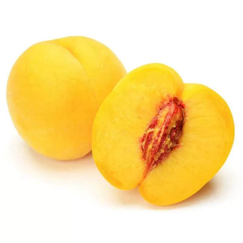宜宾桃子苗品种,宜宾桃子苗报价