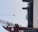 江阴港到南沙港海运一个小柜走集装箱船几天到图片